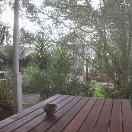 Oasis Accommodation Opotiki Exterior photo